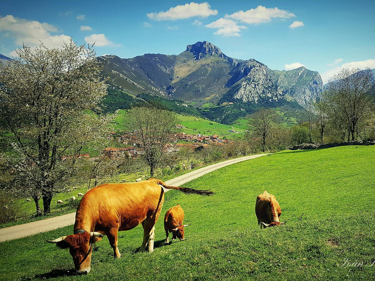 Hotel La Rivera Arenas De Cabrales Kültér fotó